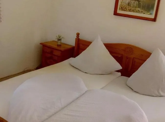 酒店 Vidimo Se Selzthal